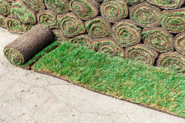 Rouleau Vert Déroulé Pelouse Sur Fond Une Pile Autres Rouleaux Image En Vente