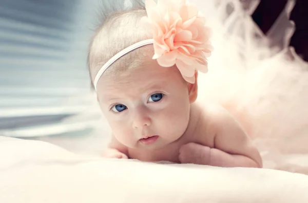 Newborn Baby Girl Piercing Look Flower Her Hair — Stock Photo, Image