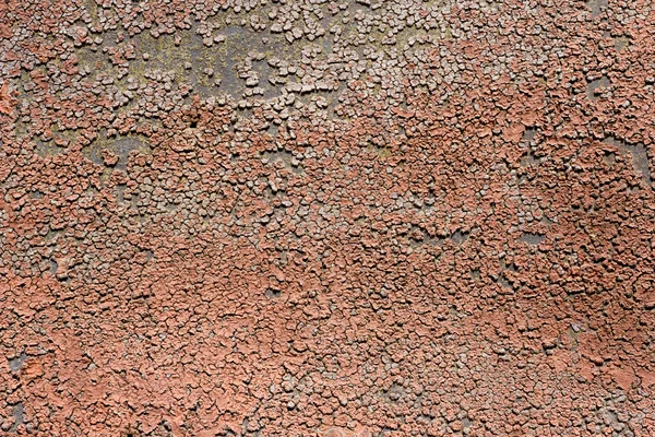 Old painted wood texture — Stock Photo, Image