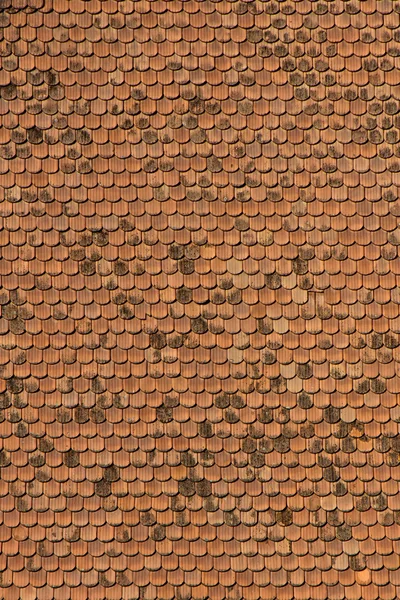 Shingle — Stock Photo, Image