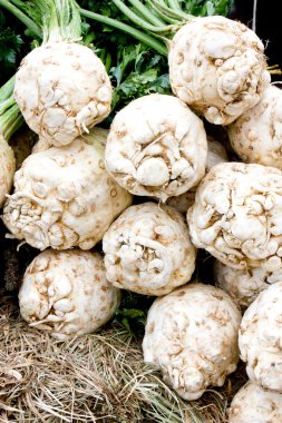 gerçek yetiştirilmektedir