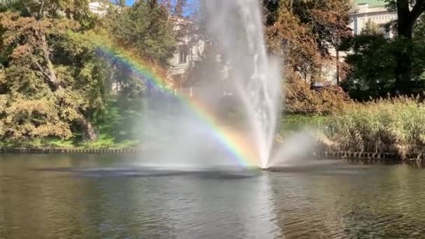 Piękna fontanna lśniąca tęczą w parku — Wideo stockowe