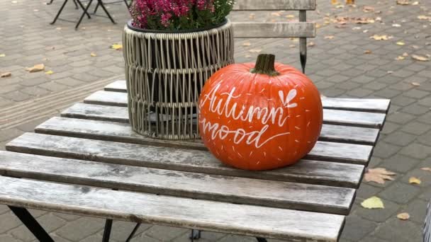 Humor de outono: Abóbora pré-Halloween sentado na mesa no café ao ar livre — Vídeo de Stock