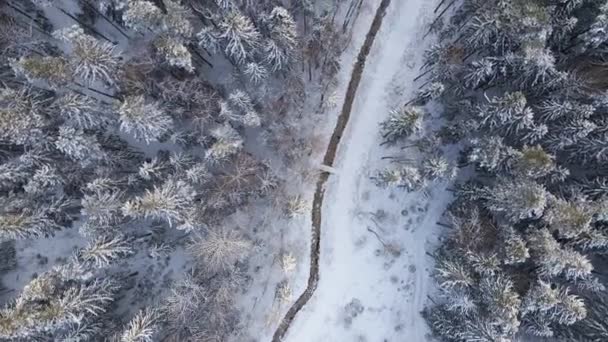Вид сверху на снежную реку в зимнем лесу — стоковое видео