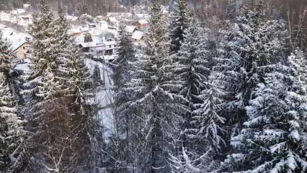 Beau dévoilement du petit village enneigé derrière la forêt d'hiver — Video