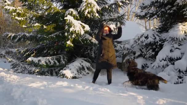 Szczęśliwa kobieta bawiąca się dużym psem w śnieżnej zimie — Wideo stockowe