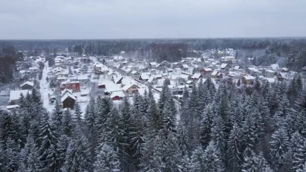 Pan po prawej: Snowy wieś ukrywa się w pięknym lesie zimowym — Wideo stockowe
