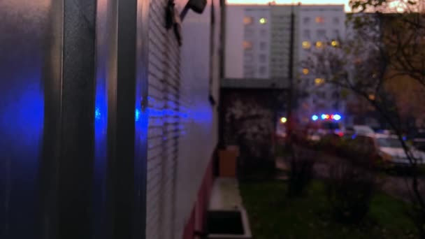Suddig bild av blå ambulans blinkande siren ljus på natten — Stockvideo