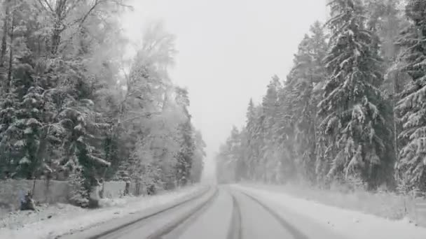Во время сильного снегопада по проселочной дороге мимо проезжал другой автомобиль с зимними деревьями — стоковое видео