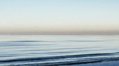 Kışın soğuk denizin üzerinde uçan martı sürüsü