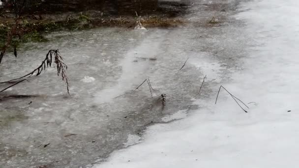 봄에 눈이 녹으면서 건물에서 쏟아져 내리는 물 — 비디오