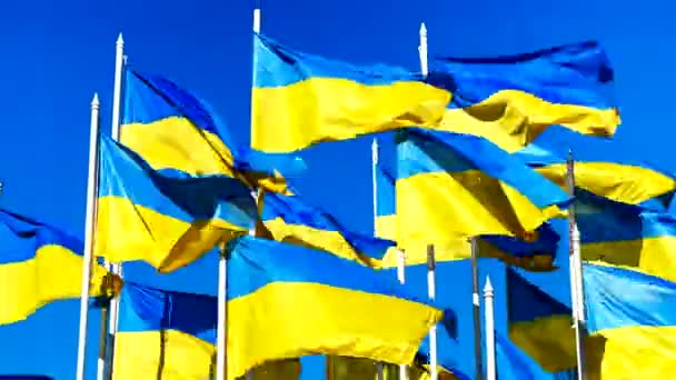 Vista cercana: Banderas de Ucrania ondean en el viento sobre el cielo azul — Vídeo de stock