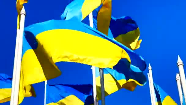 Support of Ukraine: Many Ukrainian Flags flutter on wind over blue sky — Stock Video
