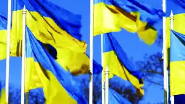 Mavi gökyüzünde Ukrayna Bayrakları dalgalanıyor. SAVAŞ DURUN