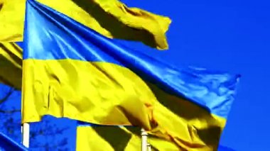 Birçok Ukrayna bayrakları mavi gökyüzünde dalgalanır