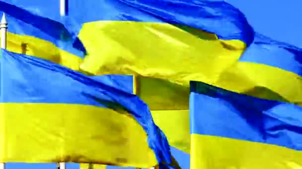 Apiladas banderas de Ucrania revolotean en el viento sobre el cielo azul — Vídeo de stock