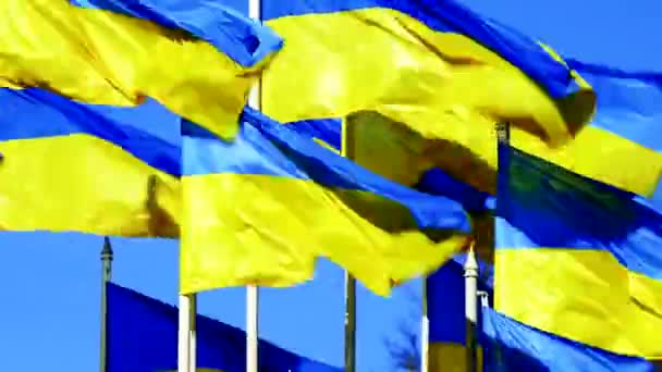 Багато національних українських прапорів пурхають над блакитним небом. Стандартизуґрін — стокове відео