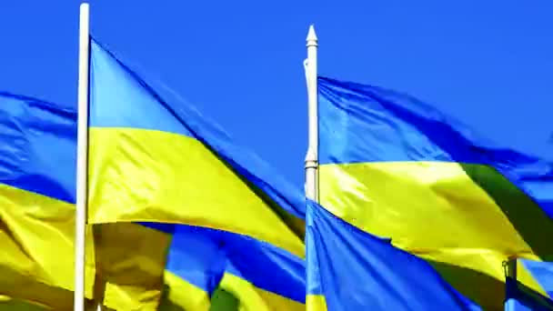 Dia: muitas bandeiras ucranianas oscilam no vento sobre o céu azul. STOP WAR — Vídeo de Stock