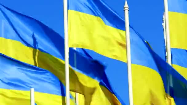 Veel Oekraïense vlaggen fladderen op wind over blauwe lucht — Stockvideo