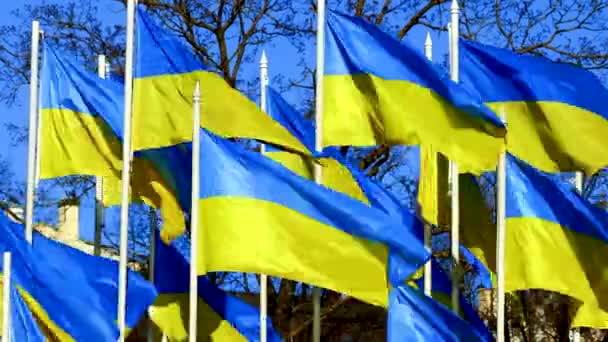Apiladas banderas de Ucrania revolotean en el viento sobre el cielo azul — Vídeo de stock