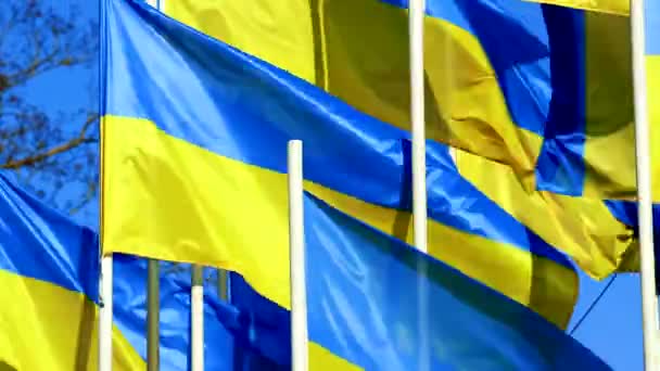 PANNING: Ουκρανικές σημαίες φτερουγίζουν στον άνεμο πάνω από τον γαλάζιο ουρανό — Αρχείο Βίντεο