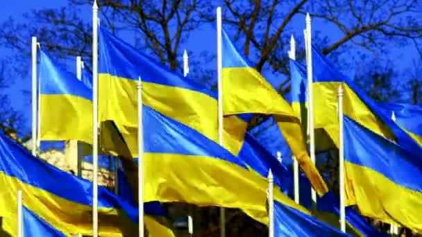 Ukrainian Flags flutter on wind over blue sky STANDWITHUKRAINE — Stock Video