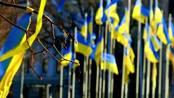 Třepetající se stuha nad ukrajinskými vlajkami na větru STANDWITHUKRAINE — Stock video