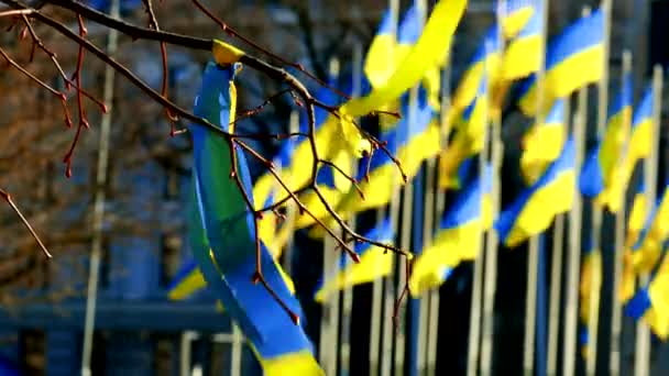Flameando cinta sobre banderas ucranianas en el viento STANDWITHUKRAINE — Vídeo de stock