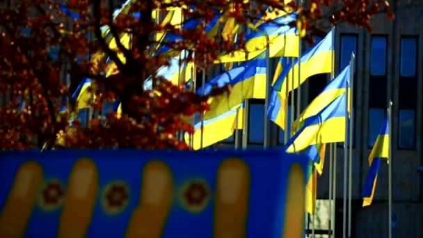Bandiere nazionali ucraine sventolano sul vento con sfondo costruzione — Video Stock