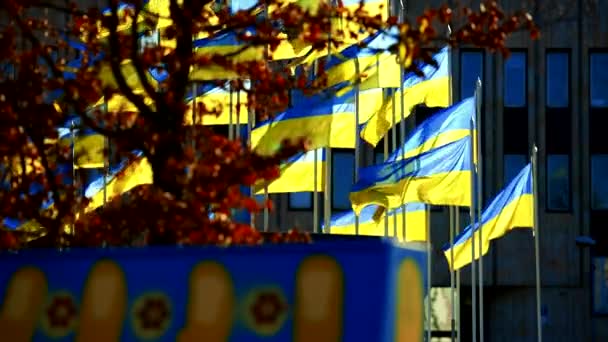 Apiladas banderas de Ucrania revolotean en el viento sobre el cielo azul - día claro — Vídeo de stock