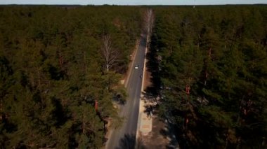 İki bisikletlinin kır yolu boyunca ağaçlarla sürüşünün ardından havadan çekim yapılıyor.