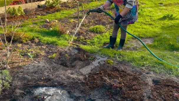 Agricultora regando camas de jardín utilizando una tubería de manguera en un pueblo ucraniano — Vídeos de Stock