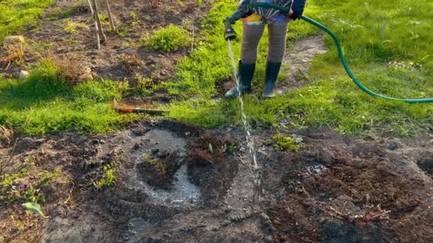 Ukrainian female farmer watering garden beds using a hose pipe in a Eastern European village — 비디오