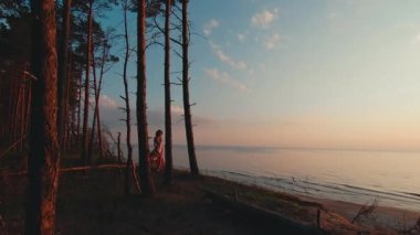 Woman in a long dress is walking against sunset sea background - Aerial silhouette shot
