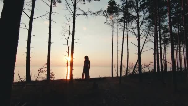 Jolie femme dans une robe longue marche sur fond de mer coucher de soleil — Video
