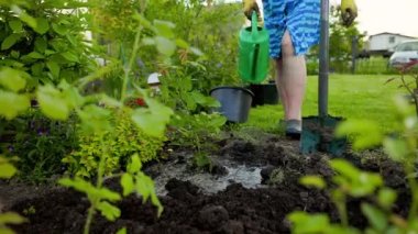 Yaşlı kadın Ukrayna 'nın köyünde gerçek zamanlı olarak sulanıyor.