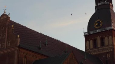 Birds sitting on top of Dome Cathedral in the evening - The main Riga Old Town tourist sight real time