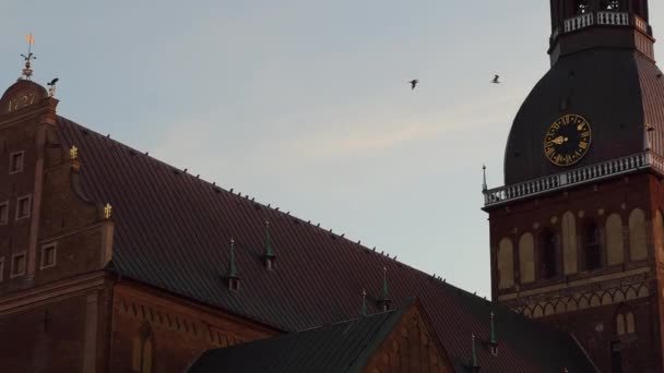 Birds Sitting Top Dome Cathedral Evening Main Riga Old Town — Wideo stockowe