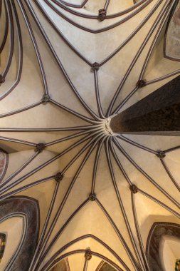 Gotik kasada: malbork castle