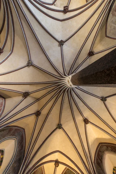 Gothic vault in Malbork castle — Stock Photo, Image