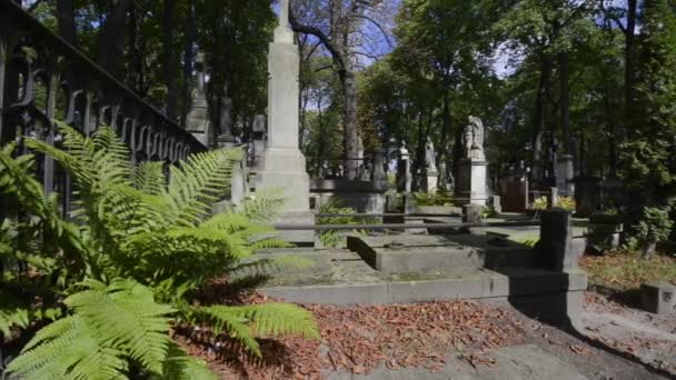 O velho cemitério histórico de Powazki em Varsóvia, Polônia — Vídeo de Stock