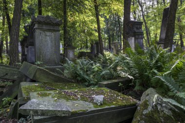 Varşova, Polonya tarihi Yahudi mezarlığında eski mezarlar