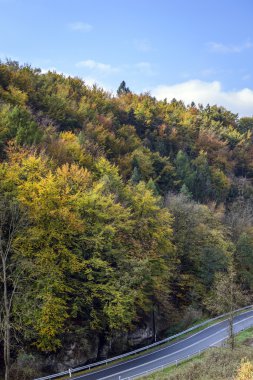 sonbaharda Polonya ojcowski Milli Parkı