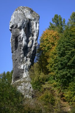 Rock called Maczuga Herkulesa in Poland clipart