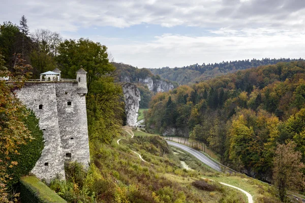 Vista aerea sulla foresta colorata a Pieskowa Skala — Foto Stock