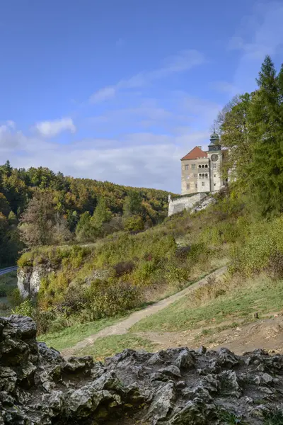 Pieskowa Skala Castle in Ojcowski National Park — Stock Photo, Image