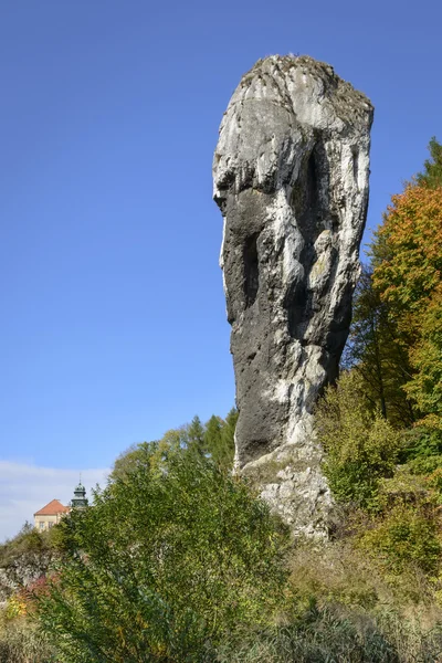 Polonya maczuga herkulesa denilen kalker kaya — Stok fotoğraf