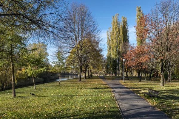 Caminho através do parque de outono — Fotografia de Stock