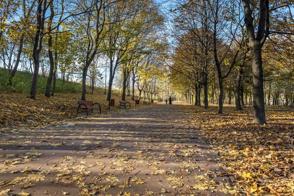 Осенний парк в солнечную погоду — стоковое фото