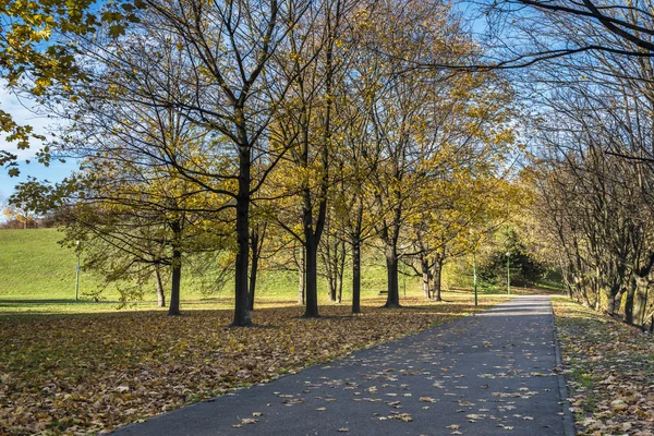 Sonniger Weg durch den Herbstpark — Stockfoto